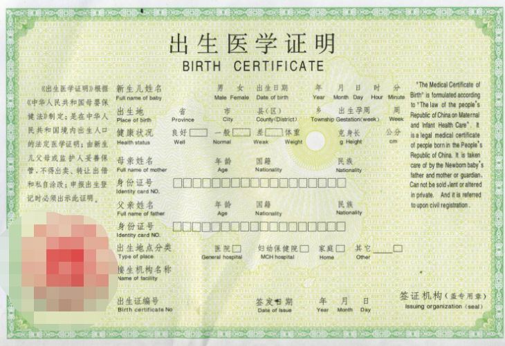 出生证明汉化版下载：快速获取游戏资源，轻松畅玩