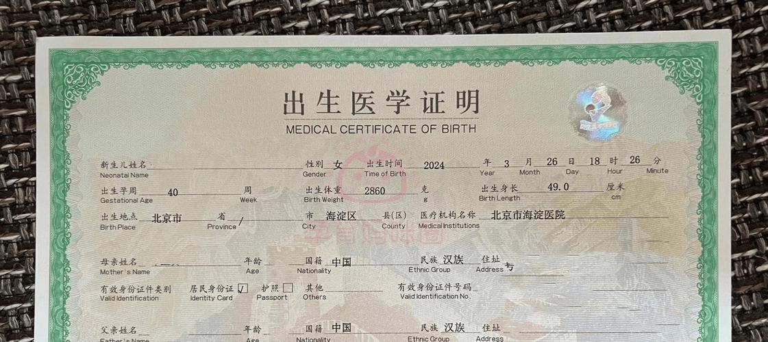 出生证明汉化版最新更新内容：有哪些新玩法？