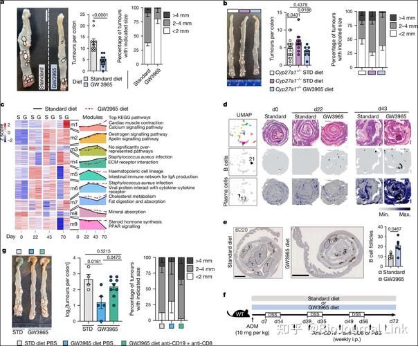 剖析胁迫COERCION最新版本：从肿瘤细胞到国际关系