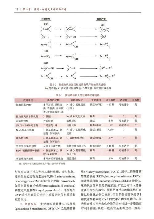 剖析胁迫COERCION最新版本：从肿瘤细胞到国际关系