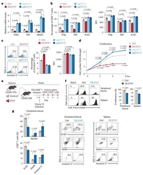 剖析胁迫COERCION最新版本：从肿瘤细胞到国际关系