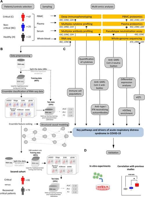 剖析胁迫COERCION最新版本：从肿瘤细胞到国际关系