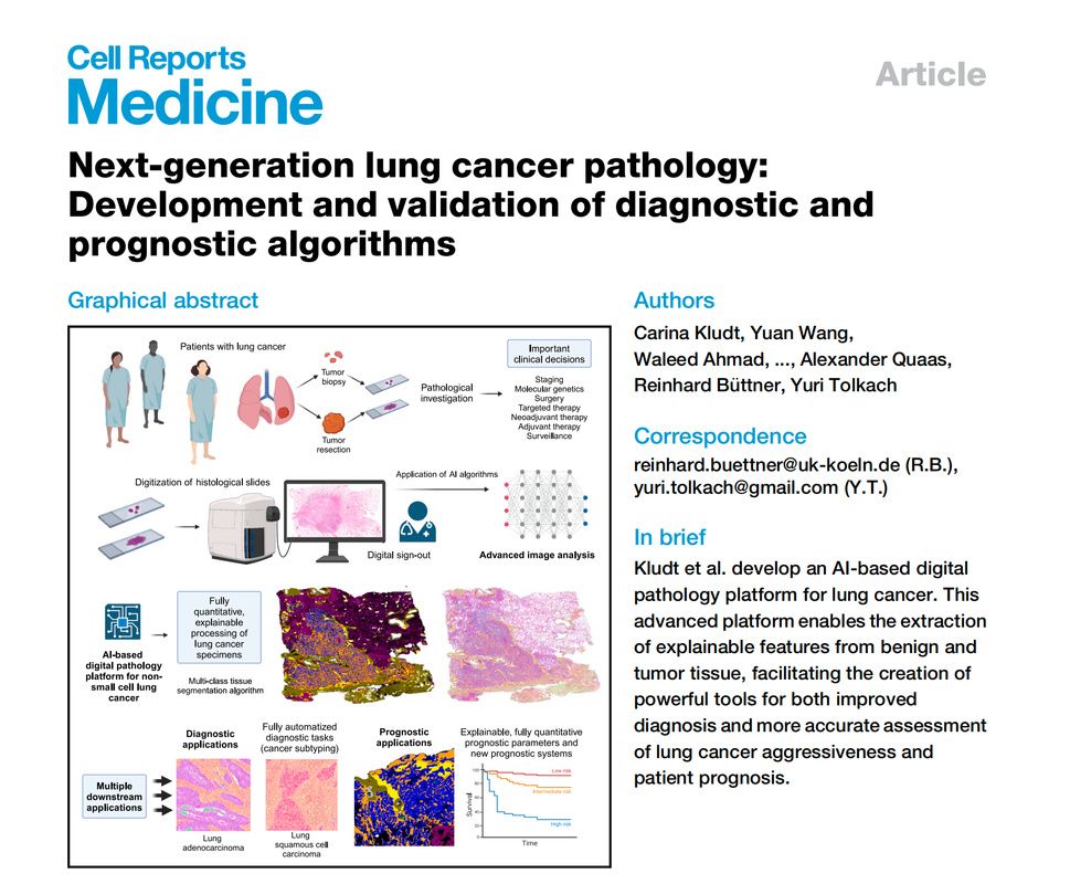 剖析胁迫COERCION最新版本：从肿瘤细胞到国际关系