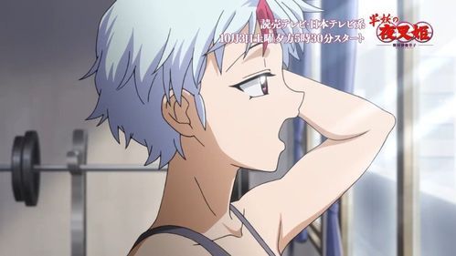 半妖忍少女汉化版下载地址：轻松畅玩日系冒险