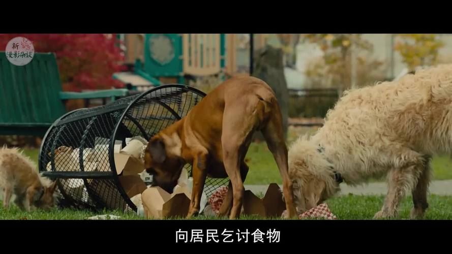 危险的回家路如何下载？安卓手机完整版下载攻略