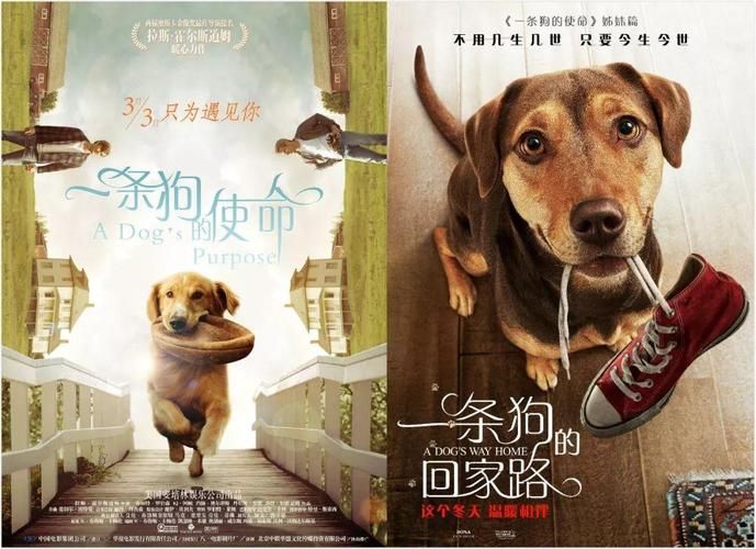 危险的回家路安卓汉化版：完整版资源分享