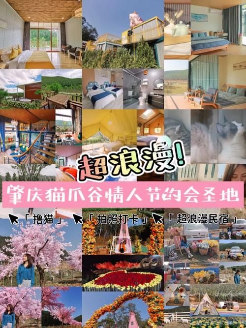 双人会所官网：进入虚拟世界浪漫约会