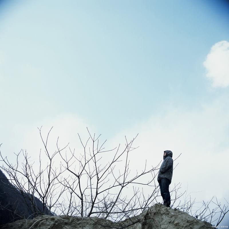 反弹人生最新体会：从失败中汲取力量