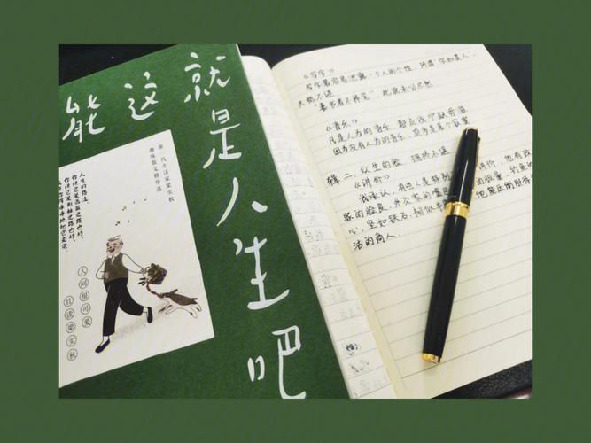 反弹人生最新版本是多少？这本书值得阅读吗？