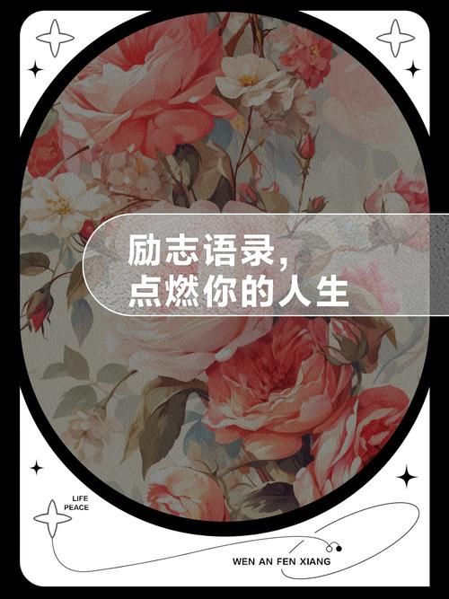 反弹人生版本大全：励志故事，激励你我