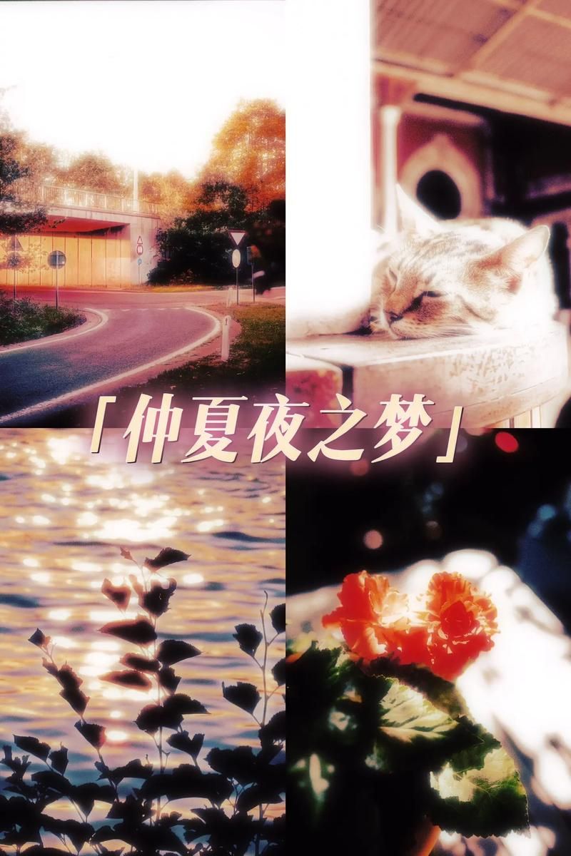 台北仲夏夜之梦版本大全:不同版本大比拼 台北仲夏夜之梦版本大全:不同版本大比拼