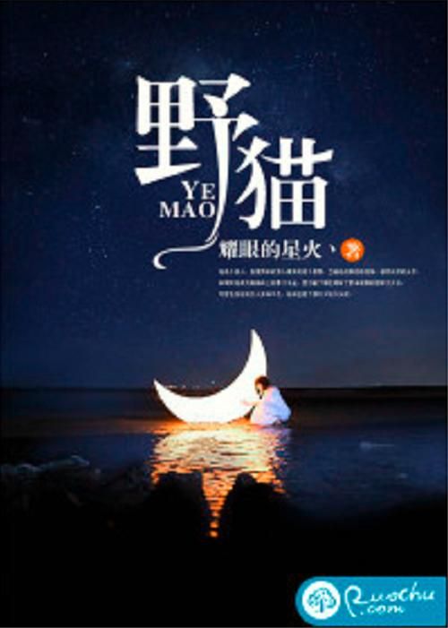 史上最全野猫版本大全，免费下载，快速上手！