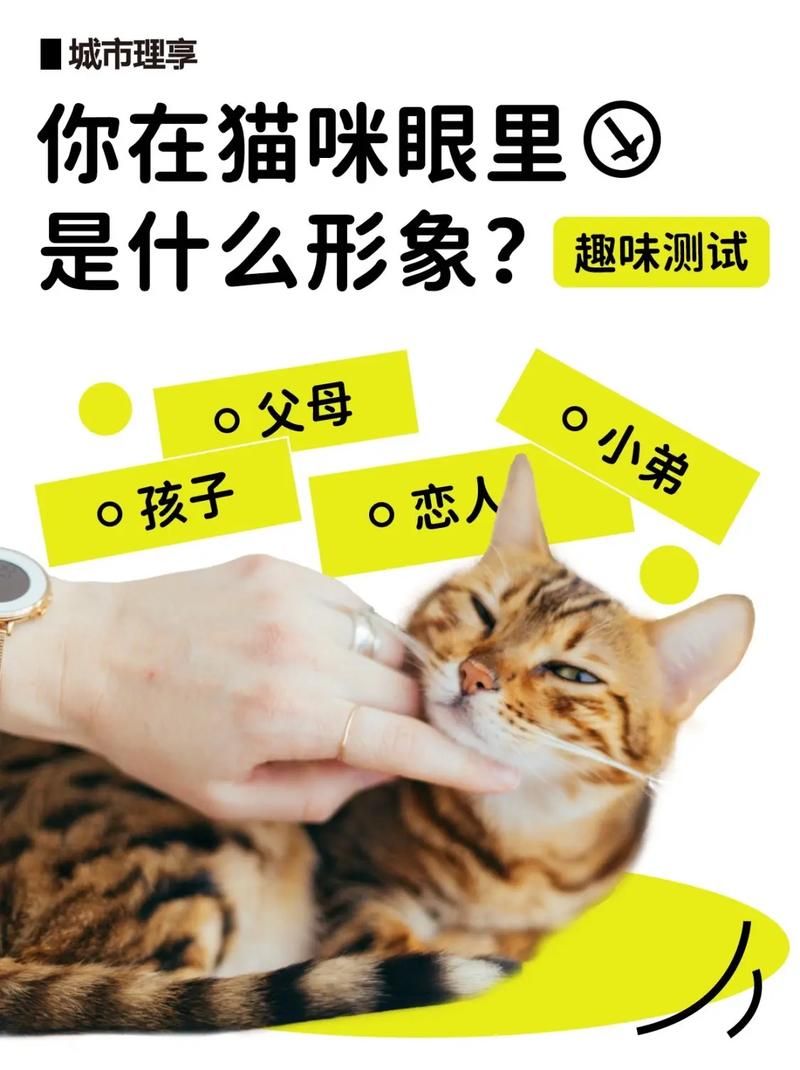 各大平台当你的猫咪下载地址大全，快速下载体验