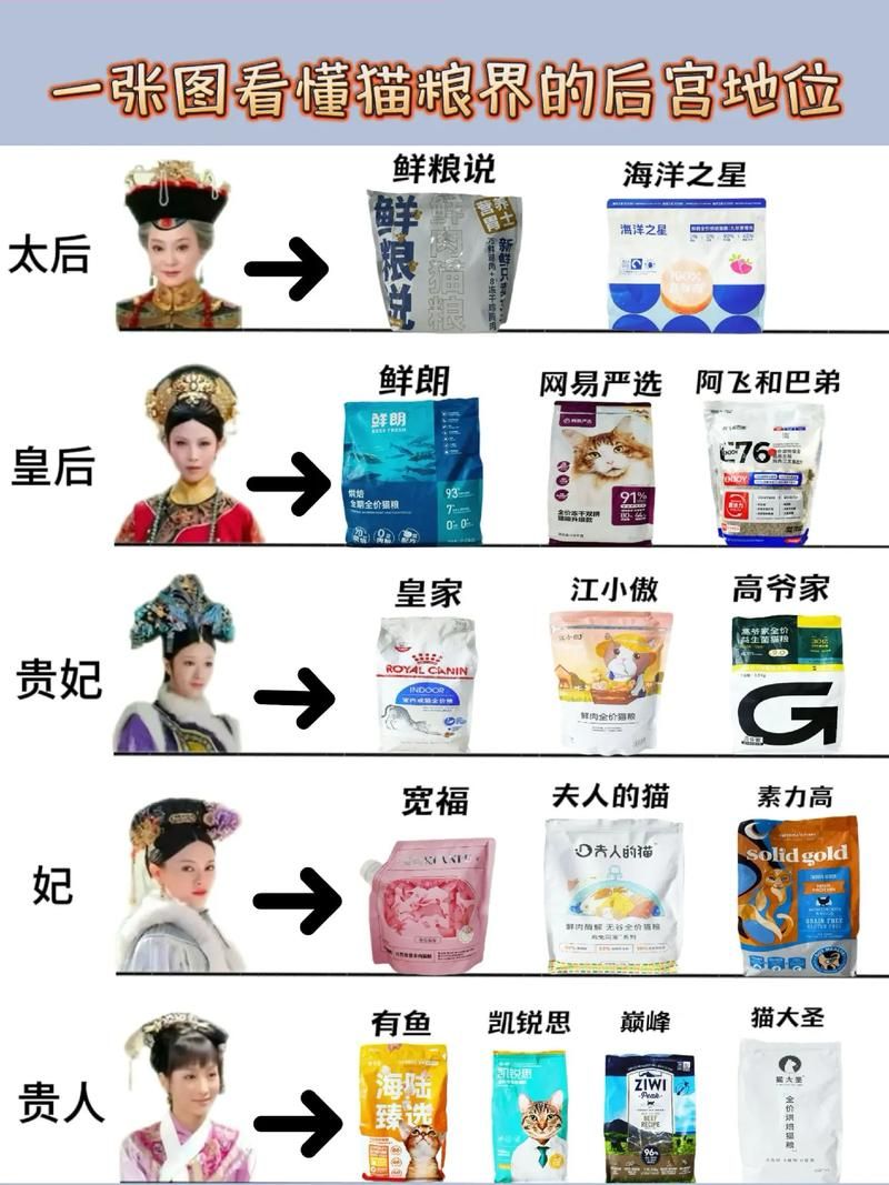 各版本后宫佳丽对比：哪个版本最好玩？最新版本介绍