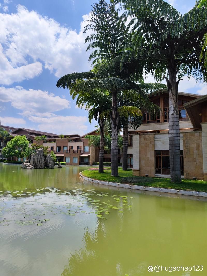 各版本宾馆下载地址：手机电脑都能用