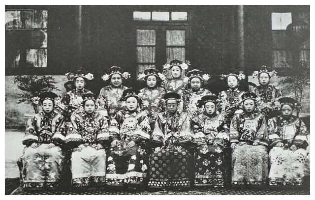 后宫佳丽下载途径有哪些？安全下载方法推荐