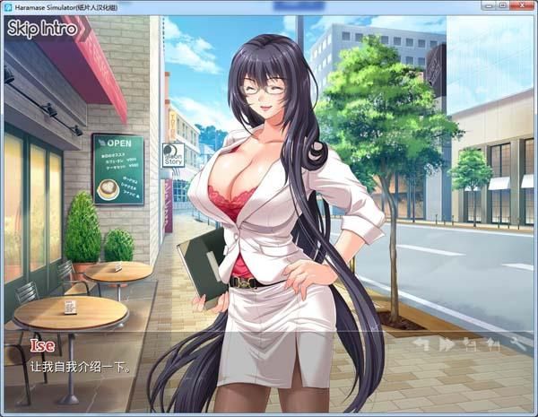 后宫大酒店所有版本合集：PC版、安卓版都有