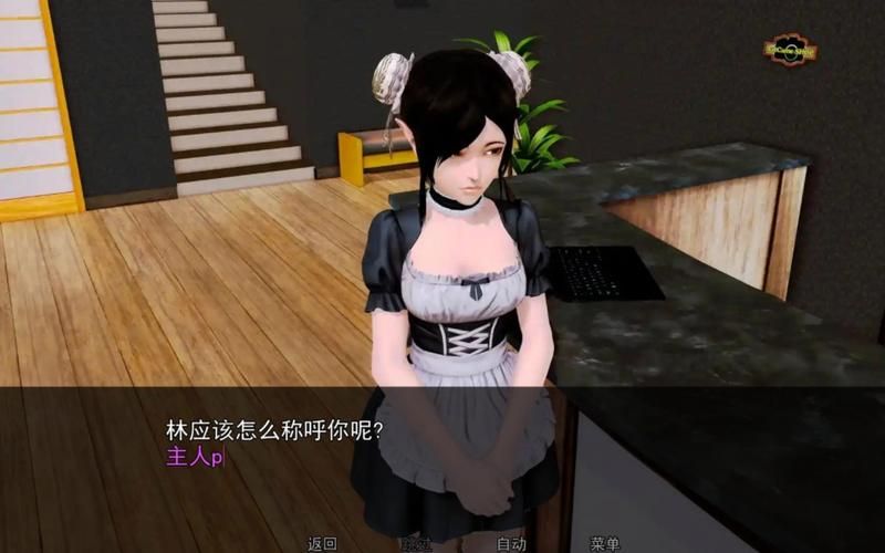 后宫大酒店所有版本合集：PC版、安卓版都有