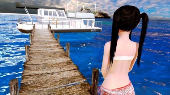 后宫大酒店所有版本合集：PC版、安卓版都有