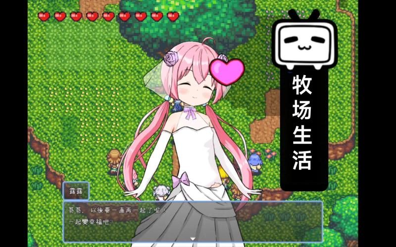 后宫牧场生活游戏攻略秘籍：解锁隐藏剧情与结局