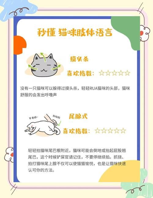 喵喵岛3下载地址及安装教程：小白也能轻松上手