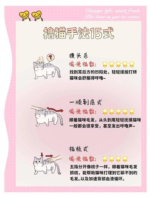 喵喵岛3最新玩法技巧:快速上手变大神的方法 喵喵岛3最新玩法技巧:快速上手变大神的方法