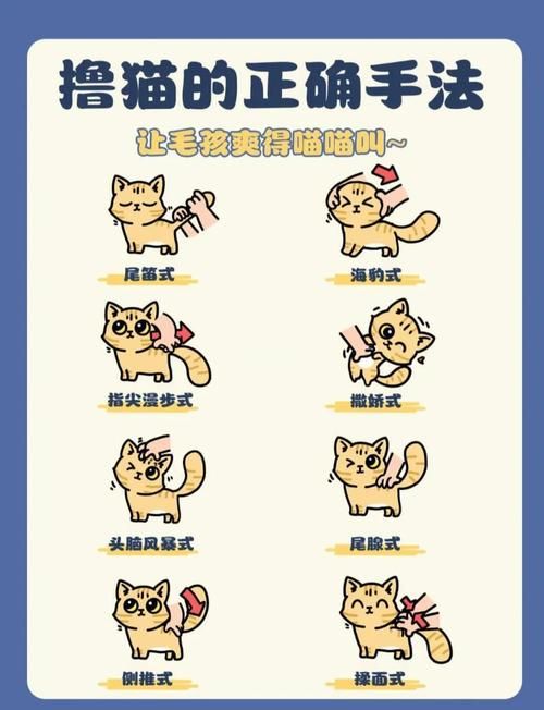 喵喵岛3最新玩法技巧:快速上手变大神的方法 喵喵岛3最新玩法技巧:快速上手变大神的方法