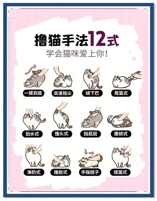 喵喵岛3最新玩法技巧:快速上手变大神的方法 喵喵岛3最新玩法技巧:快速上手变大神的方法