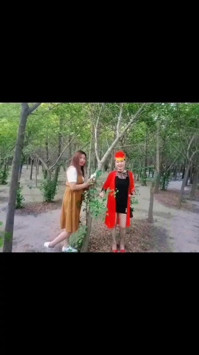 夏日的甜蜜回忆最新版本是多少？赶紧来看看更新内容吧！