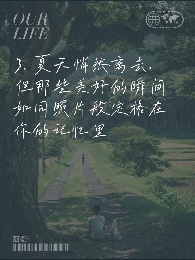 夏日的甜蜜回忆版本大全：关于夏天的所有美好瞬间