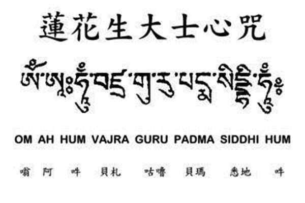 想玩全能的咒语?官方网站带你快速上手游戏 想玩全能的咒语?官方网站带你快速上手游戏