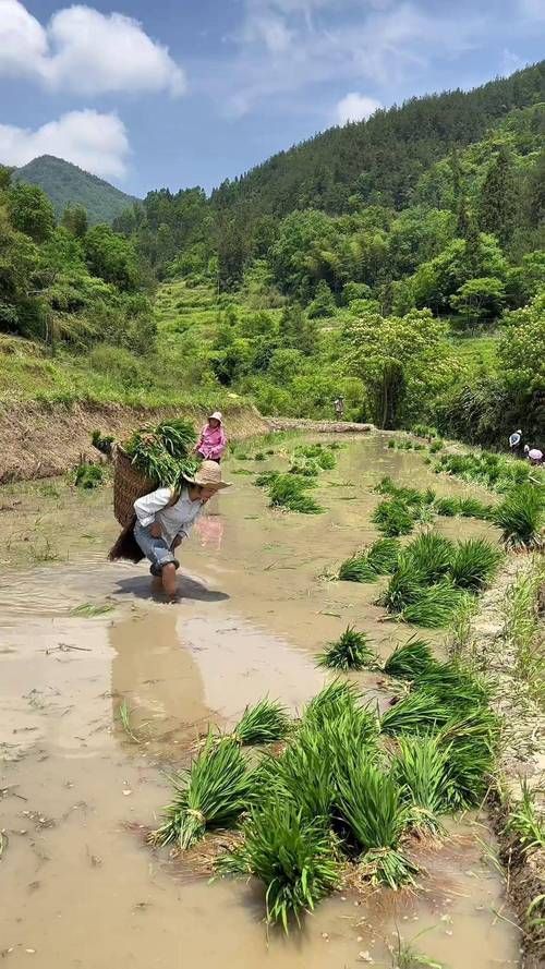 想玩农民的追求最新版？这里提供更新地址下载！