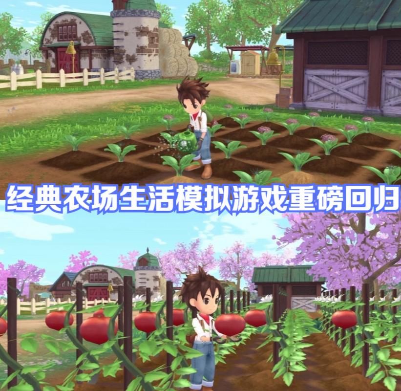 想玩后宫牧场生活？安卓汉化版下载地址及游戏体验分享