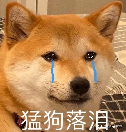 想玩孤独的陌生人？下载地址分享给你！