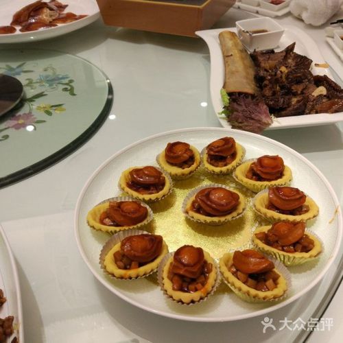 想玩小野猫N安卓汉化版？这篇攻略教你！