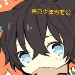 想玩小野猫N安卓汉化版？这篇攻略教你！