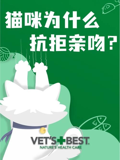 想玩当你的猫咪？这里提供官方正式版最新版下载！