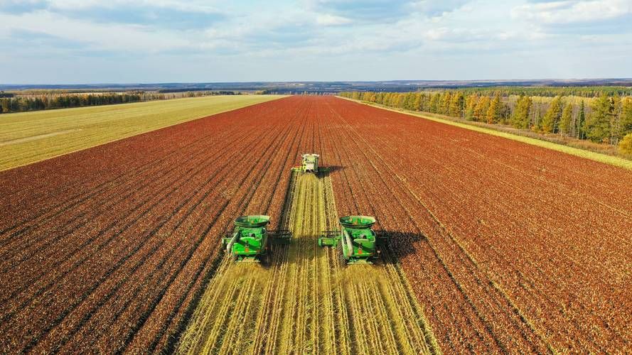 想玩我的播种农场?这里提供安全可靠的下载途径! 想玩我的播种农场?这里提供安全可靠的下载途径!