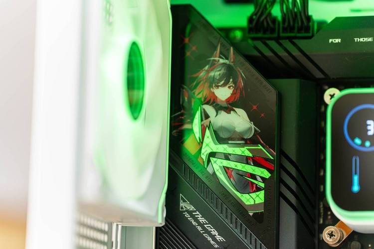 想玩挂姬恶魔汉化版？这里提供下载资源！