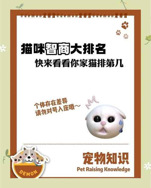 想玩捡到千年猫？各个版本区别大揭秘！