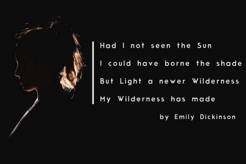 想玩摄影师的谎言游戏?这里提供下载链接 想玩摄影师的谎言游戏?这里提供下载链接