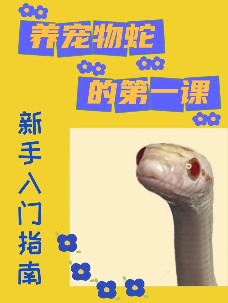 想玩杰森绅士游戏?新手入门指南和常见问题解答 想玩杰森绅士游戏?新手入门指南和常见问题解答