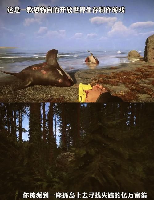 想玩森林之子?官网带你了解游戏详情 想玩森林之子?官网带你了解游戏详情