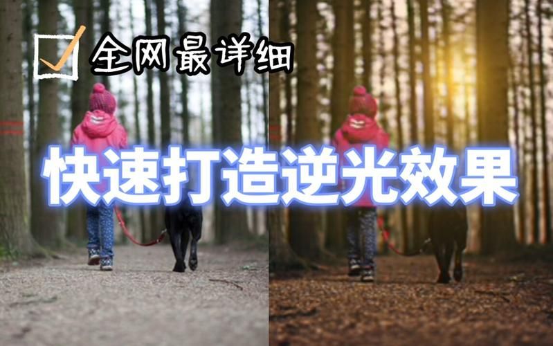 想玩生命竞赛?教你快速下载安装,小白也能轻松上手 想玩生命竞赛?教你快速下载安装,小白也能轻松上手