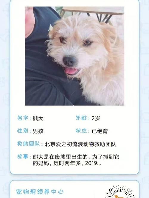 想玩苦主救助中心4?最新版本下载指南来了! 想玩苦主救助中心4?最新版本下载指南来了!