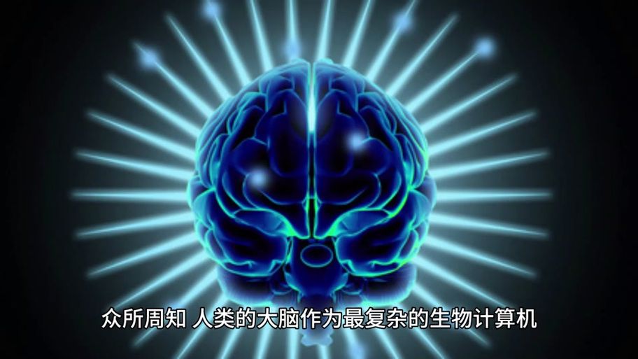 想玩青色大脑汉化版？这里提供下载链接和教程！