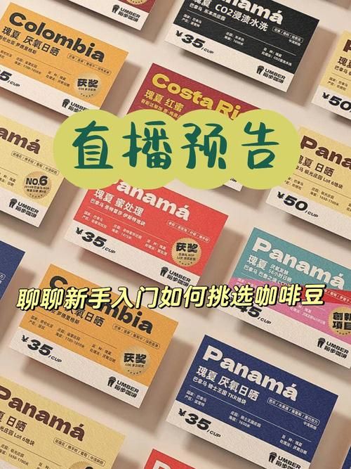 想玩魔法少女蕾万蒂娅直播频道?官网带你快速入门 想玩魔法少女蕾万蒂娅直播频道?官网带你快速入门