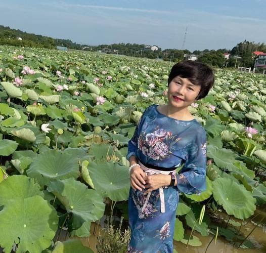 想看半老徐娘？这里提供下载地址及观看方式