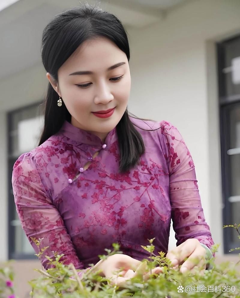 想看半老徐娘？这里提供下载地址及观看方式