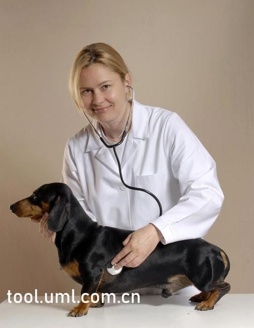 想看少年阿宾小说最新版本?这里有! 想看少年阿宾小说最新版本?这里有!